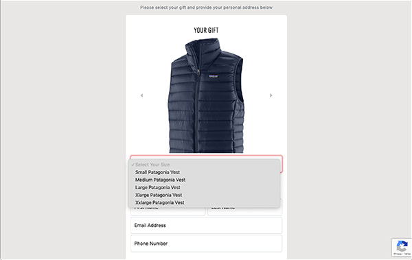 Select Options